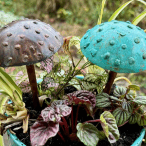 Copper Mushrooms